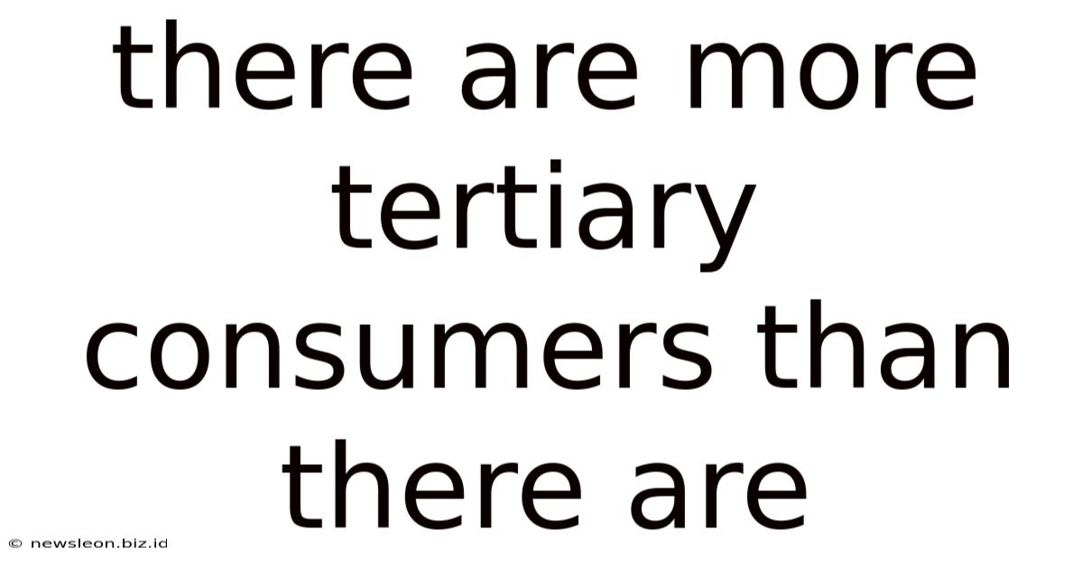 There Are More Tertiary Consumers Than There Are