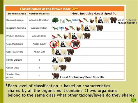 This Is The Least Inclusive Classification Category