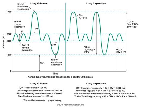 This Lung Volume Cannot Be Directly Measured Using A Spirometer