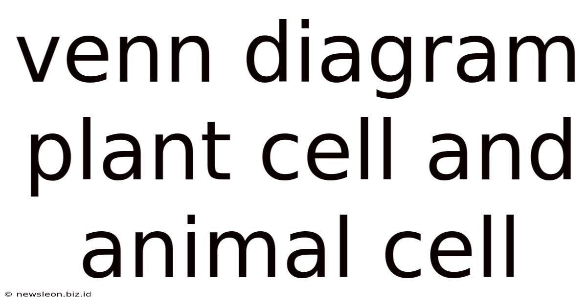 Venn Diagram Plant Cell And Animal Cell
