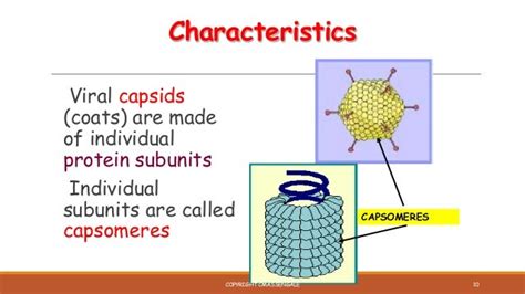 Viral Capsids Are Made From Subunits Called