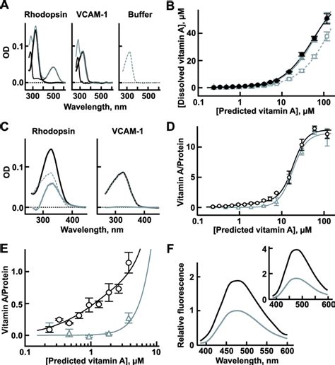 Vitamin A Is Necessary For The Synthesis Of Rhodopsin