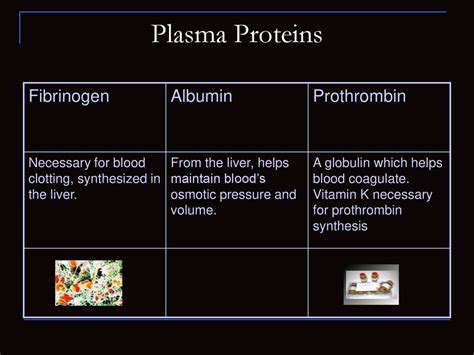 Vitamin Necessary For Fibrinogen And Prothrombin Formation