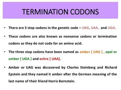 What 3 Codons Act As Termination Signals