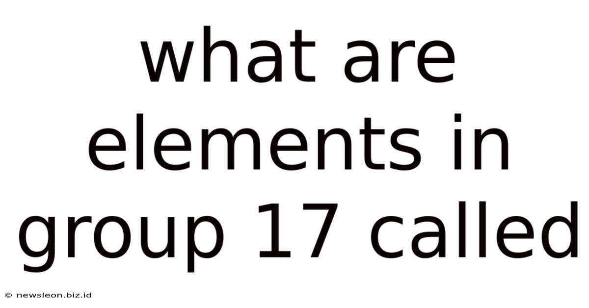 What Are Elements In Group 17 Called