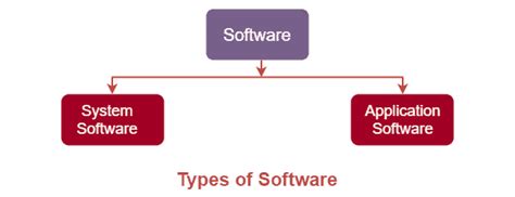 What Are The 2 Categories Of Software