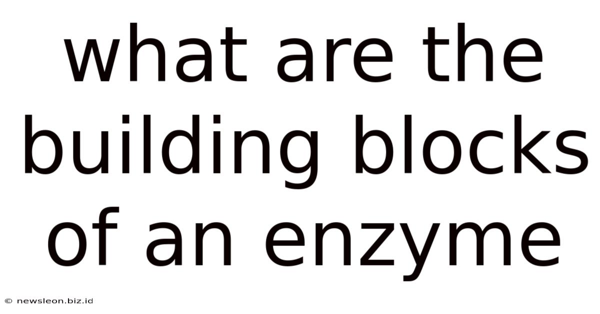 What Are The Building Blocks Of An Enzyme