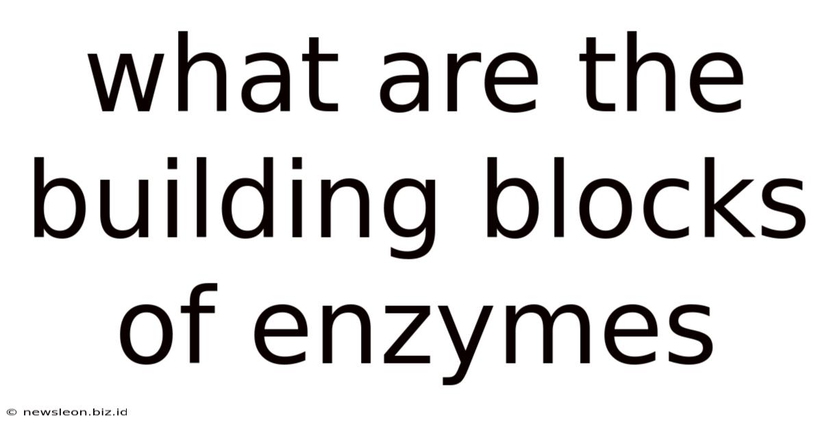 What Are The Building Blocks Of Enzymes