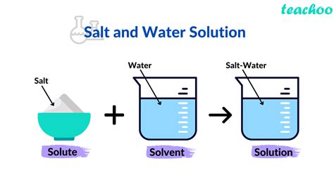 What Are The Components Of Solution