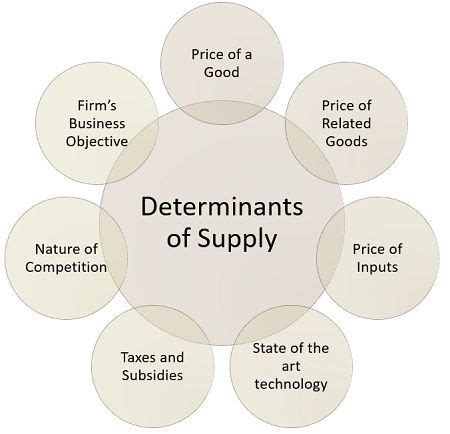 What Are The Determinants Of Supply