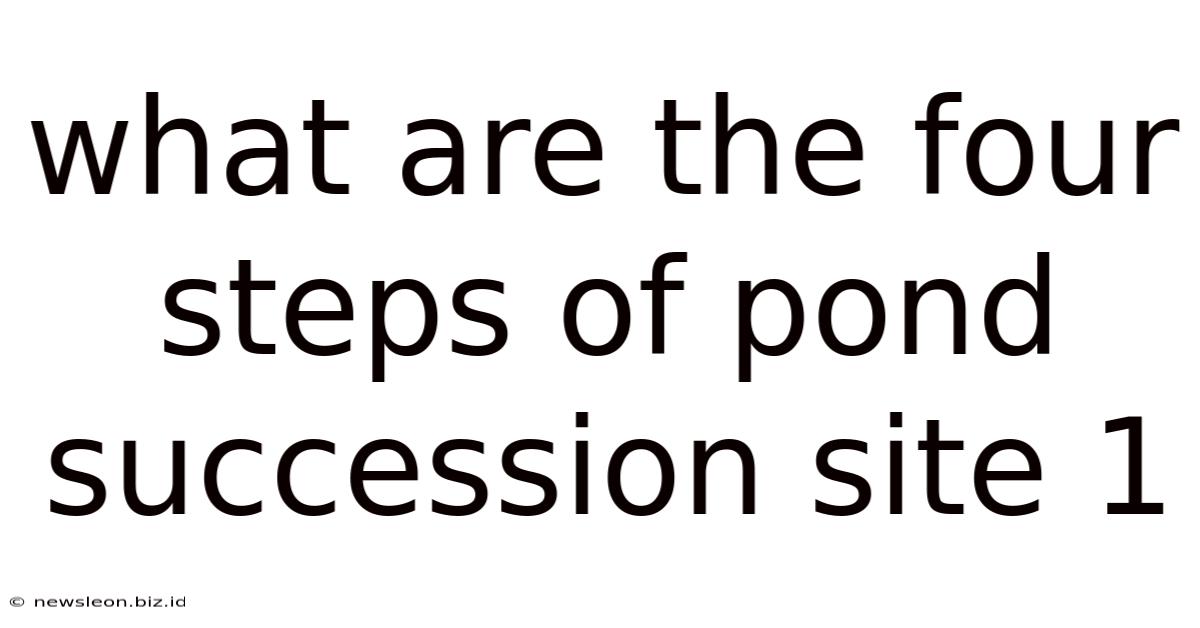 What Are The Four Steps Of Pond Succession Site 1