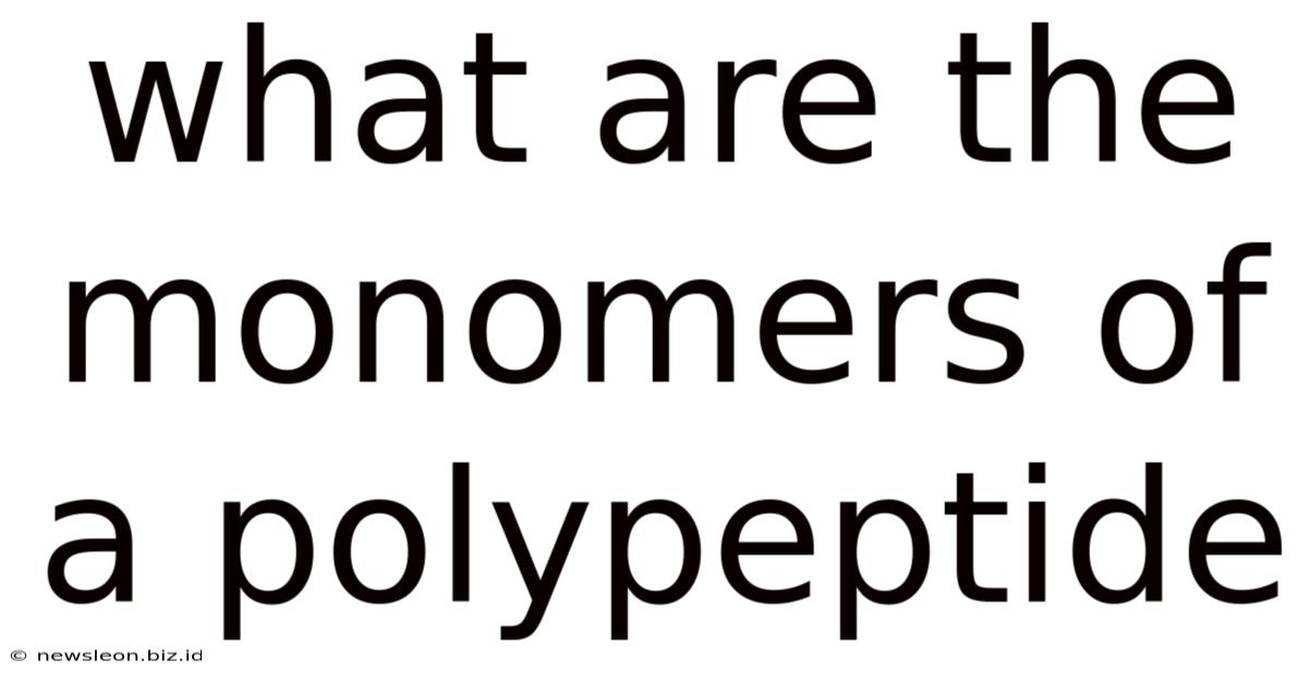 What Are The Monomers Of A Polypeptide