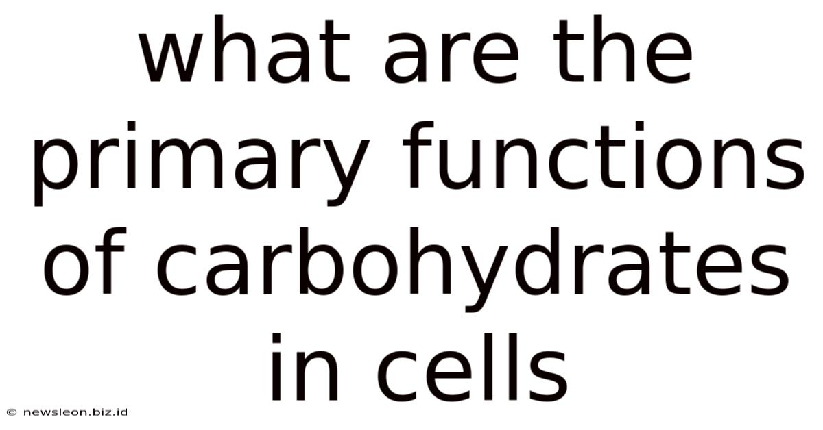 What Are The Primary Functions Of Carbohydrates In Cells