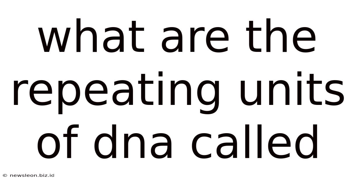 What Are The Repeating Units Of Dna Called
