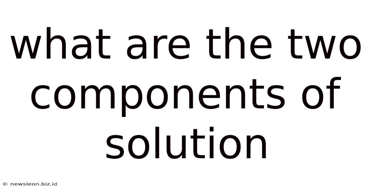 What Are The Two Components Of Solution