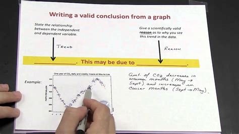 What Conclusion Should Be Drawn From The Graph