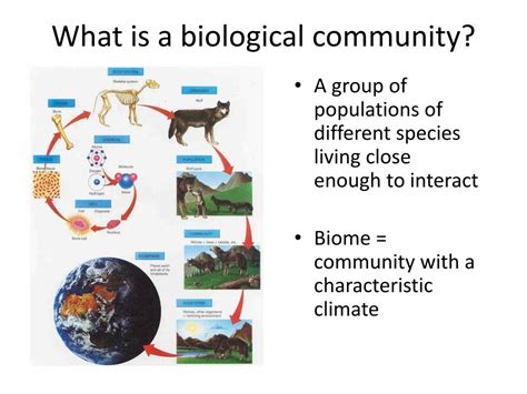 What Does A Biological Community Consist Of