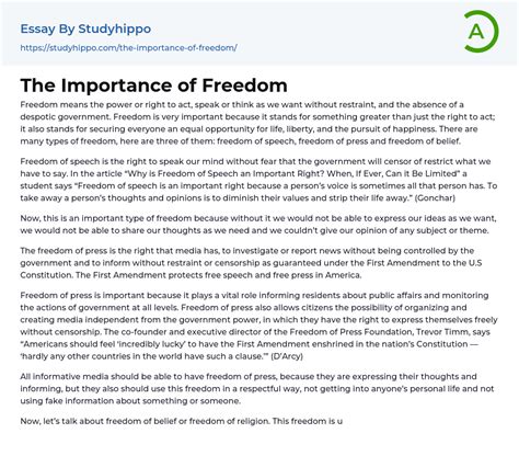 What Does Freedom Mean To You Essay