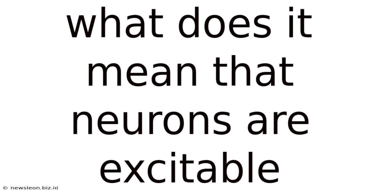 What Does It Mean That Neurons Are Excitable