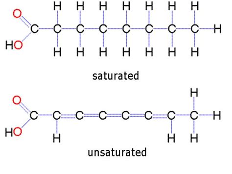 What Is A Polymer For Lipids