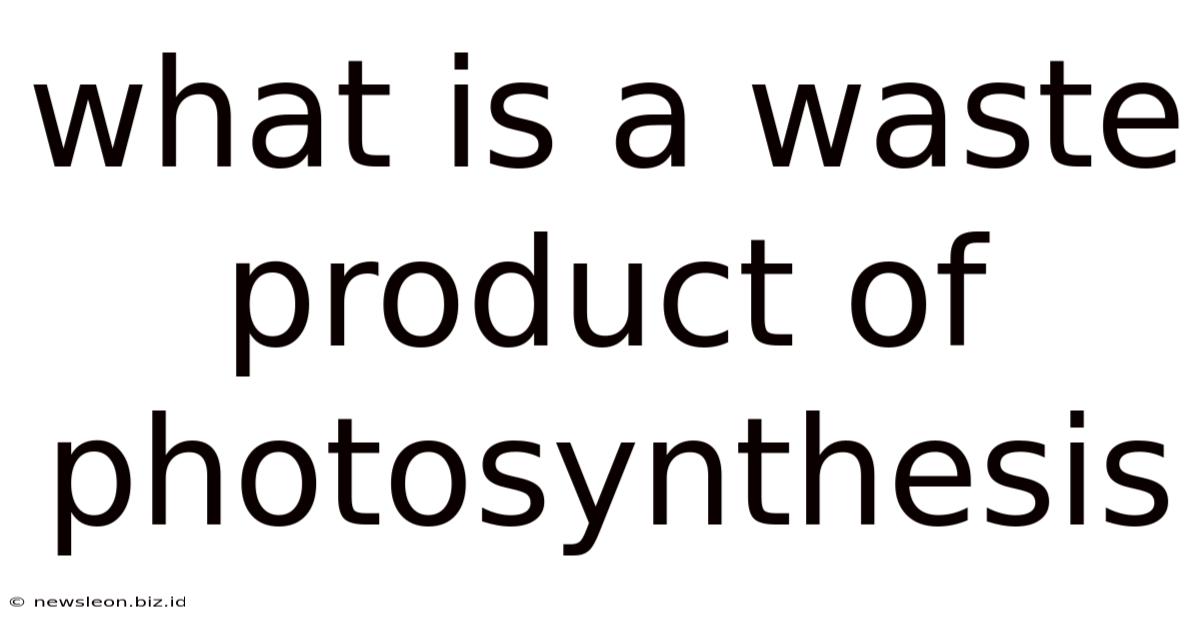 What Is A Waste Product Of Photosynthesis