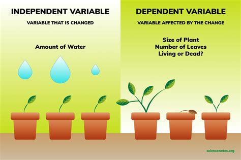 What Is An Independent Variable In Chemistry