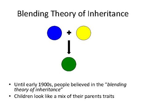 What Is Blending Theory Of Inheritance