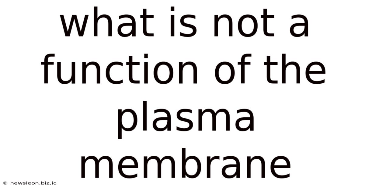 What Is Not A Function Of The Plasma Membrane