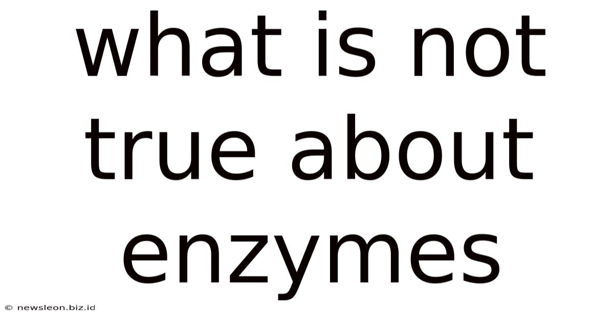 What Is Not True About Enzymes
