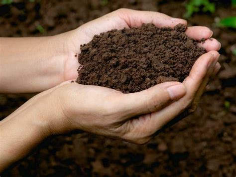 What Is Soil A Mixture Of