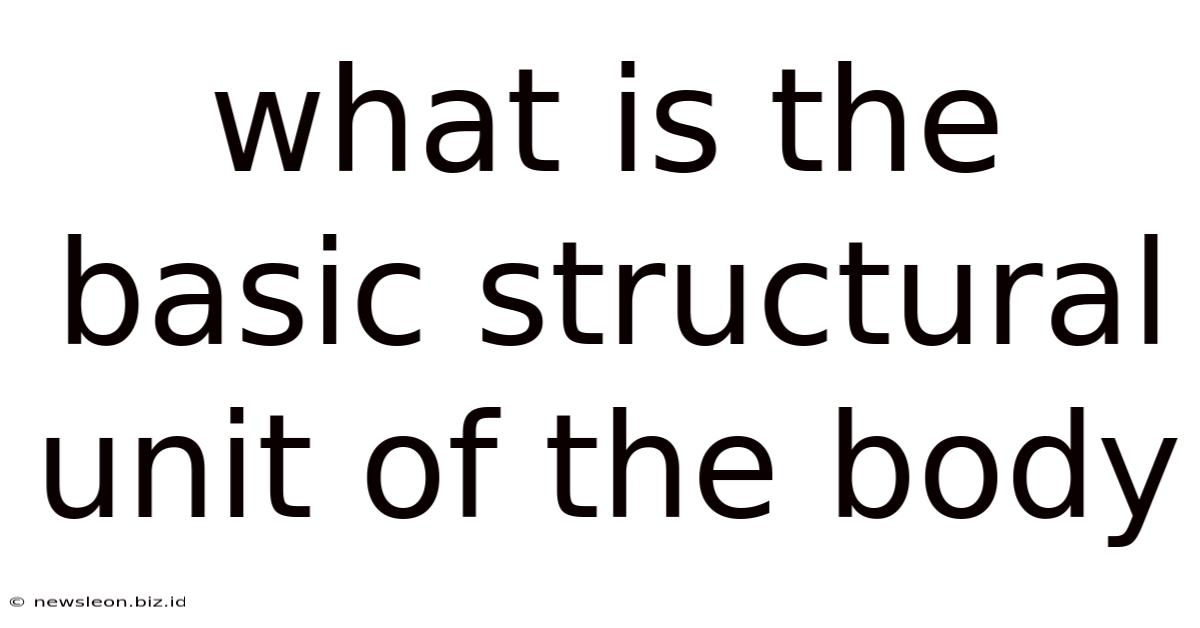 What Is The Basic Structural Unit Of The Body