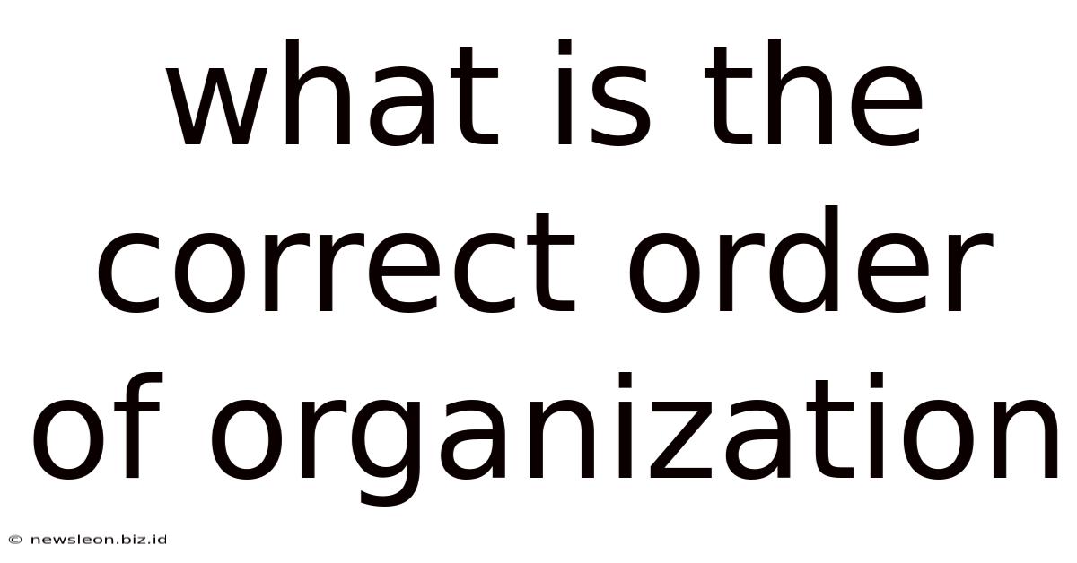 What Is The Correct Order Of Organization