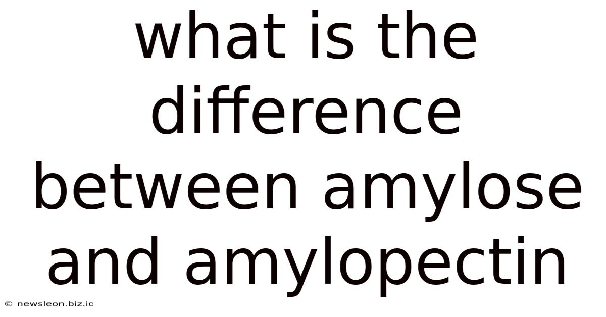 What Is The Difference Between Amylose And Amylopectin