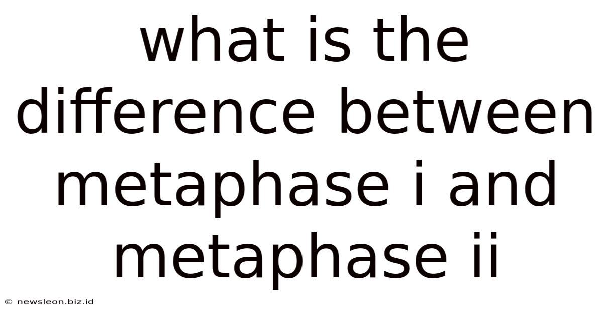 What Is The Difference Between Metaphase I And Metaphase Ii