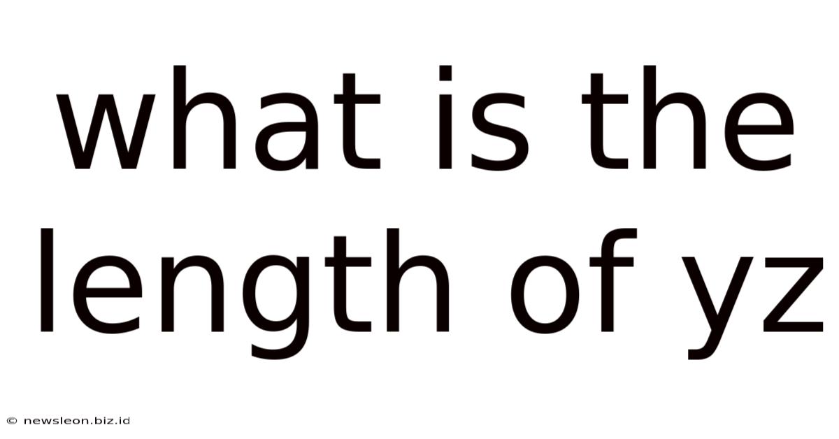 What Is The Length Of Yz