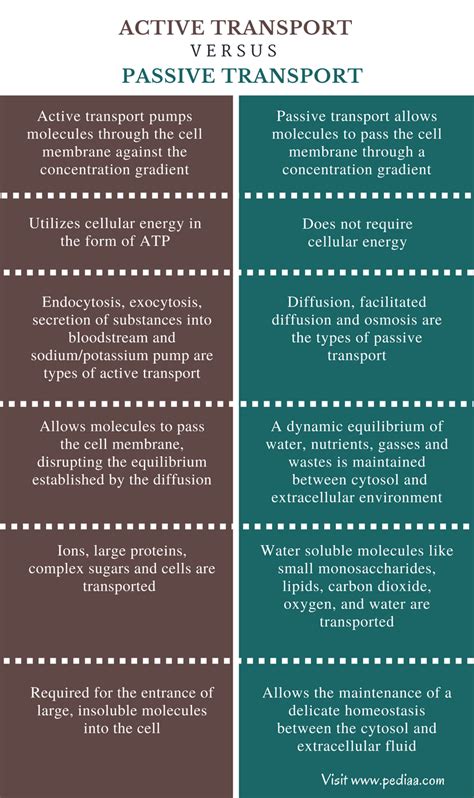 What Is The Major Difference Between Active And Passive Transport