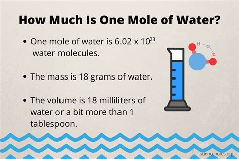 What Is The Mass Of 1 Mole Of Water