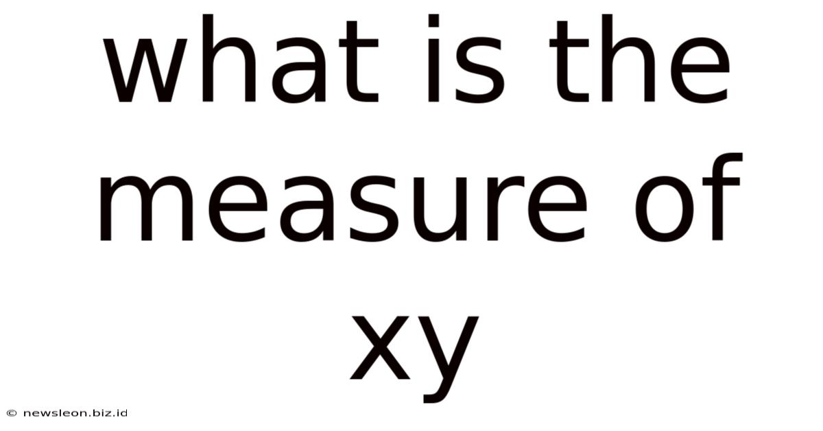 What Is The Measure Of Xy