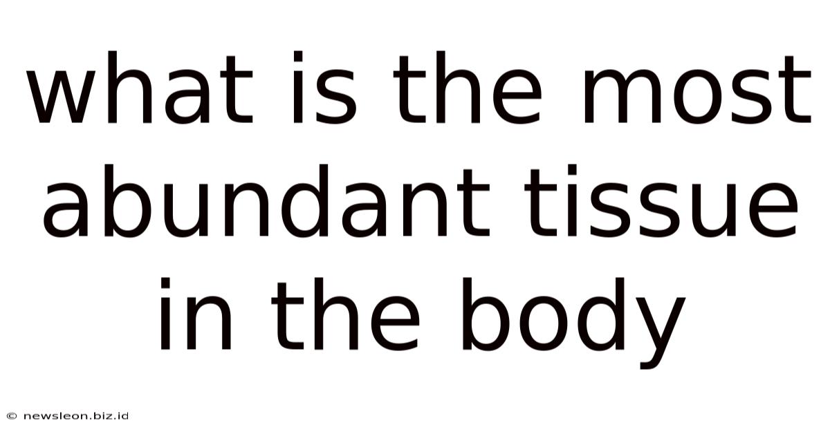 What Is The Most Abundant Tissue In The Body