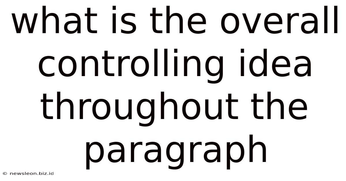 What Is The Overall Controlling Idea Throughout The Paragraph