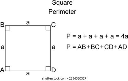 What Is The Perimeter Of Square Abcd