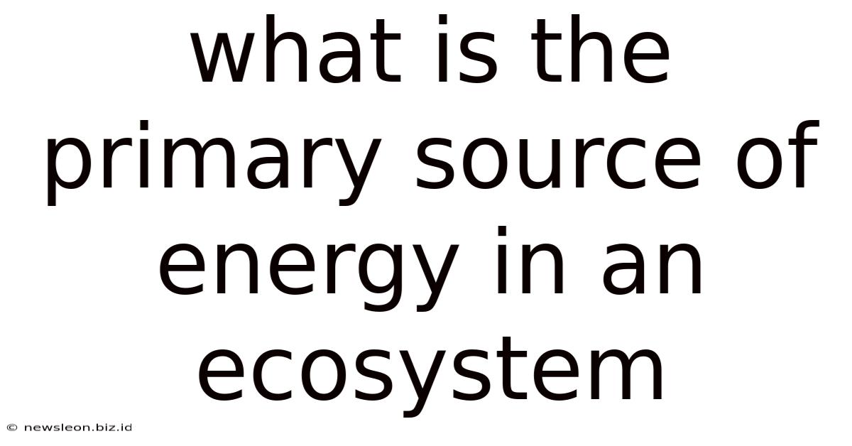 What Is The Primary Source Of Energy In An Ecosystem