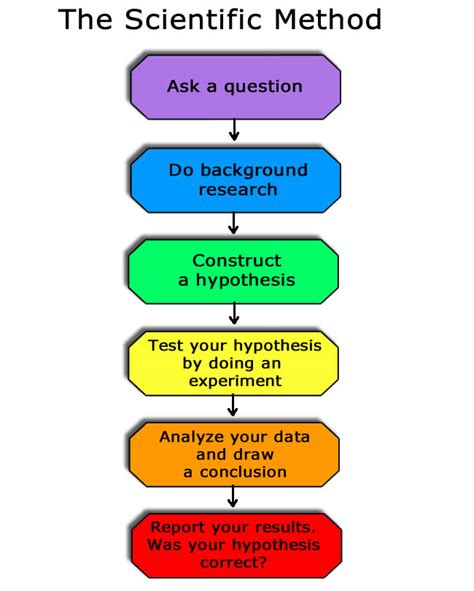 What Is The Proper Order Of The Scientific Method