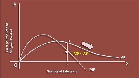 What Is The Relationship Between Marginal Product And Average Product