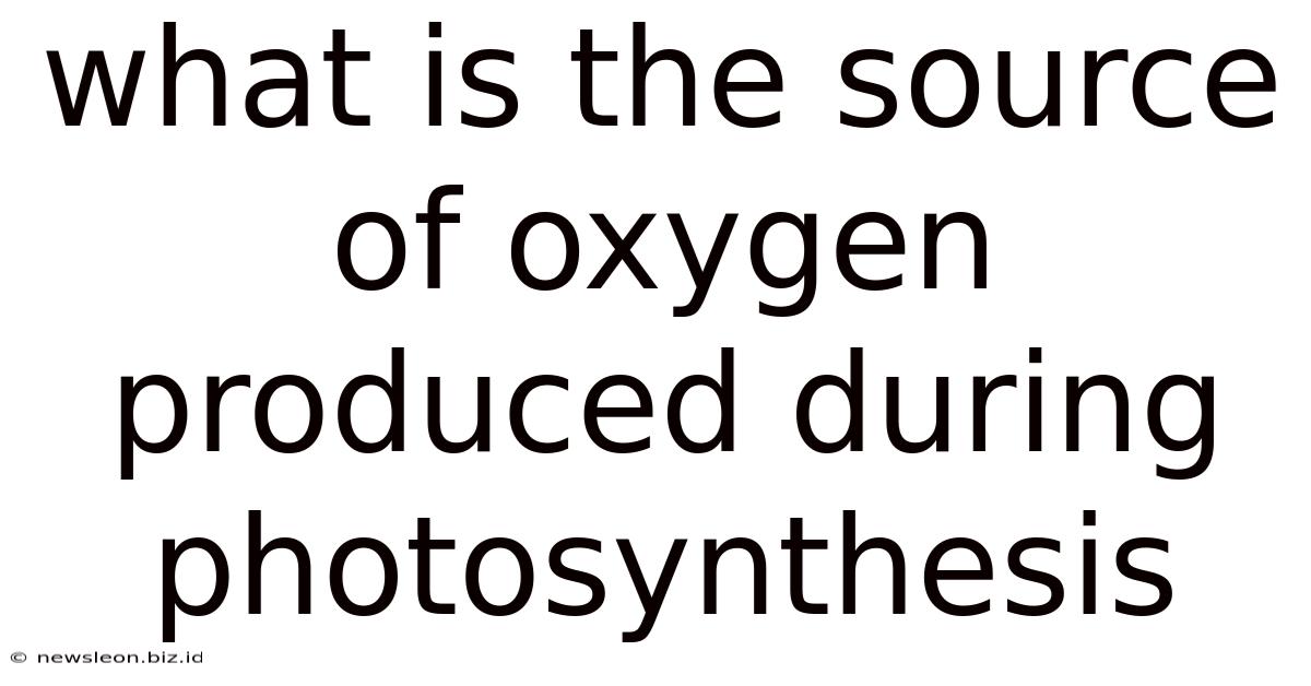 What Is The Source Of Oxygen Produced During Photosynthesis
