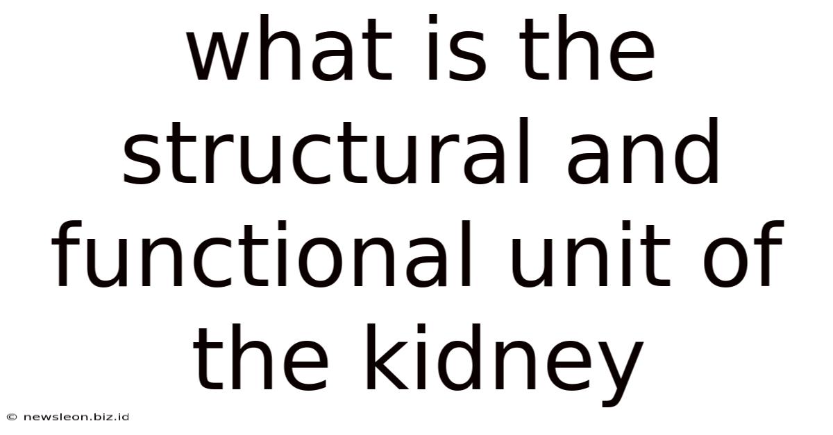 What Is The Structural And Functional Unit Of The Kidney