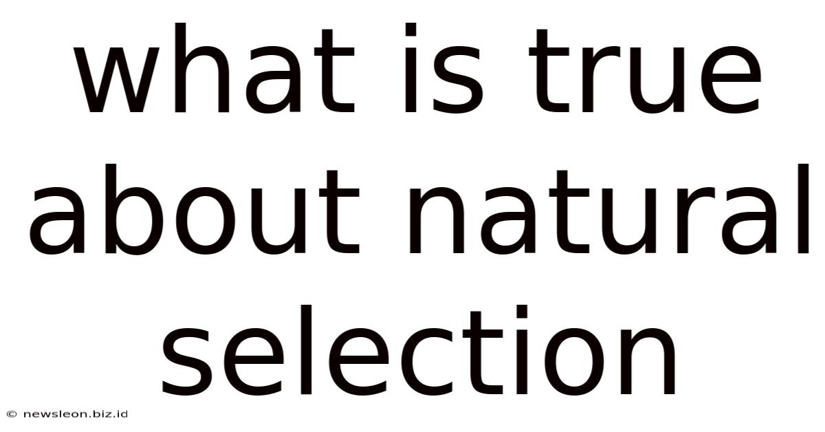 What Is True About Natural Selection