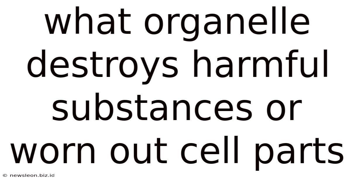 What Organelle Destroys Harmful Substances Or Worn Out Cell Parts