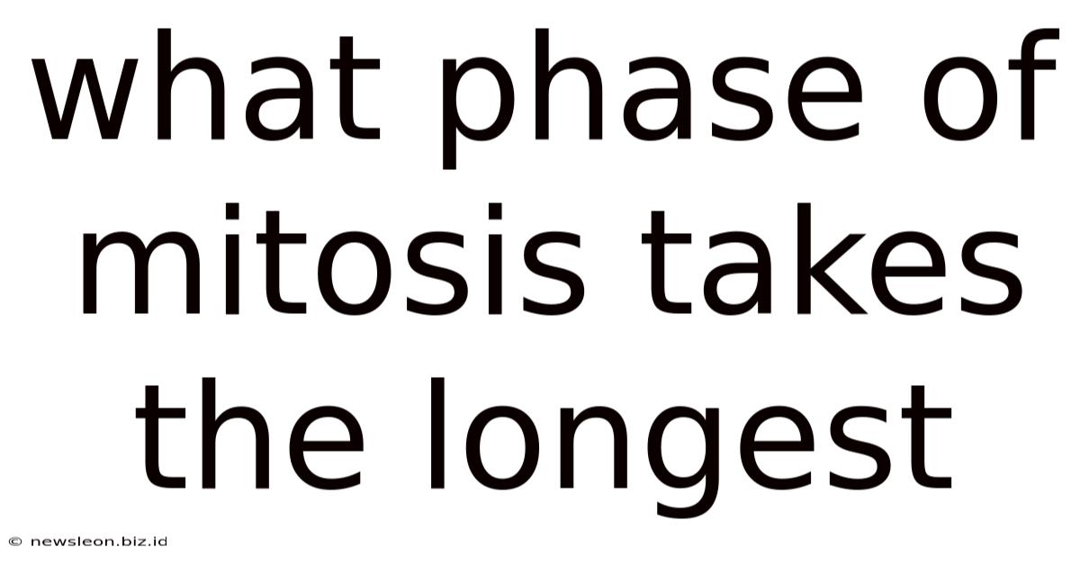 What Phase Of Mitosis Takes The Longest