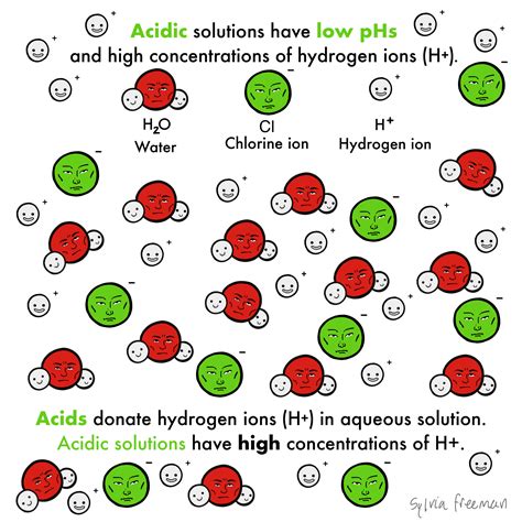 What Typ Of Ions Do Acids Release